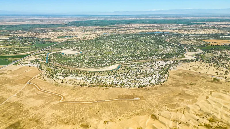 46 illik əmək, 600 min insan... Çində 3 min kmlik meşə saldılar