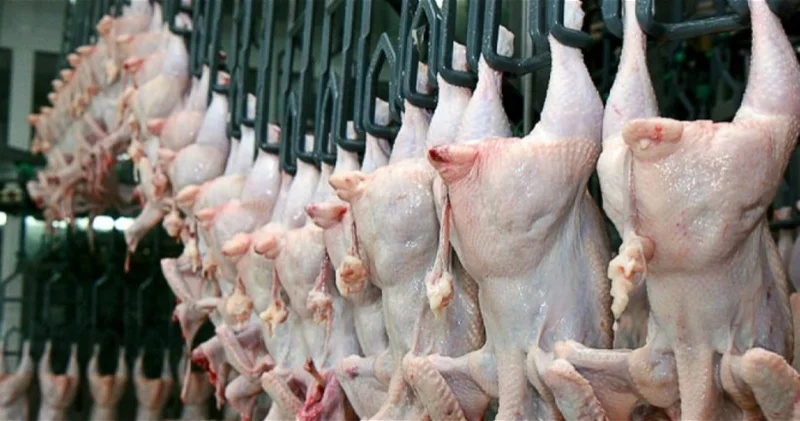 Эксперты по пищевой безопасности предупредили об опасной курятине ВИДЕО