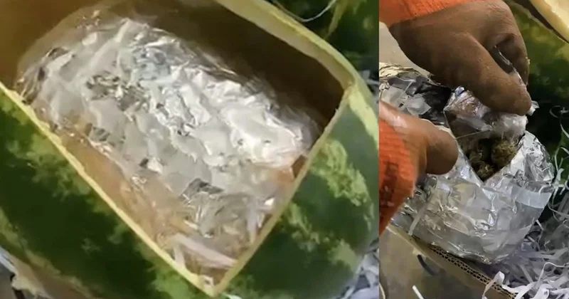 Азербайджанские таможенники обнаружили наркотики в перевозимых арбузах