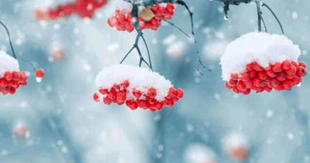 Yağış, qar, şaxta... Sabahın havası