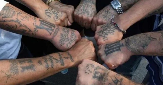 Azərbaycanlı qanuni oğru lar: 21 ci əsrdə... FOTO