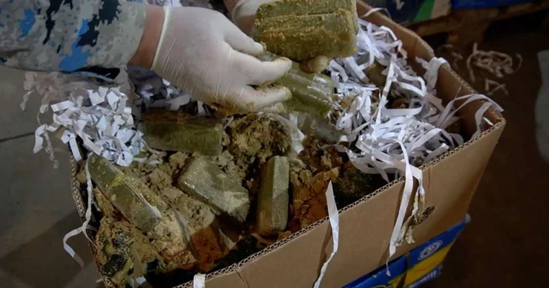 “Qarpız” yükünün içərisində narkotik keçirməyə cəhd etdilər Video