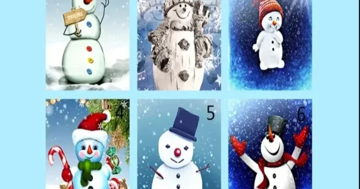 Qar adamı seçin, bu qış sizi nə gözlədiyini öyrənin: Yeni il TESTİ