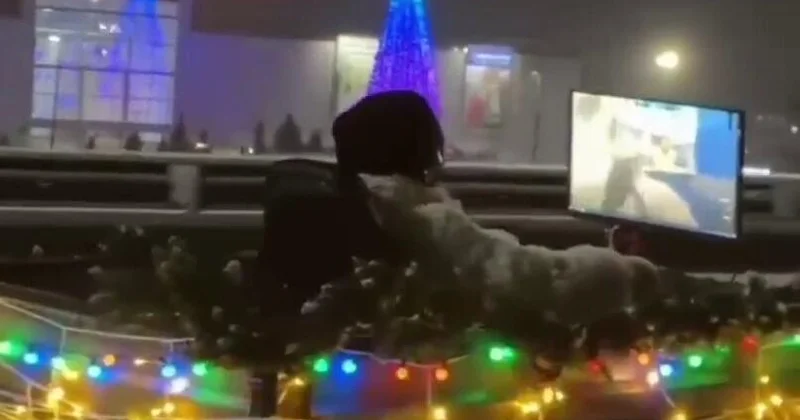 Парни решили поиграть в Counter Strike в праздничной атмосфере ВИДЕО