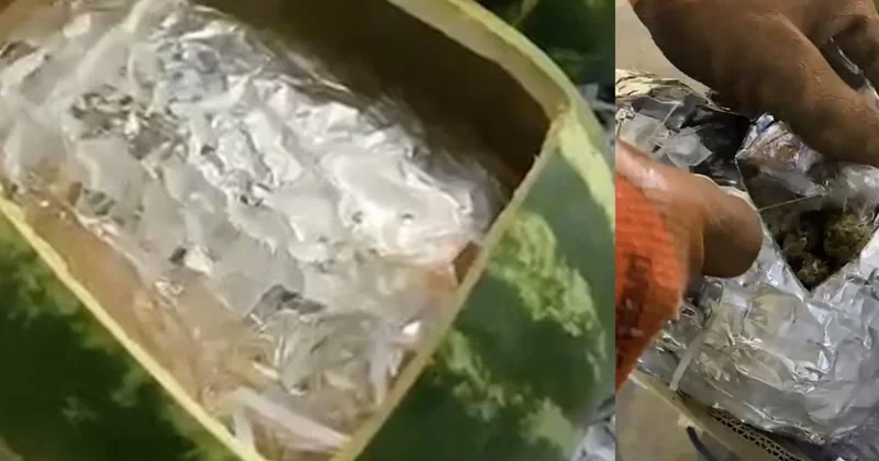 Azərbaycan gömrükçüləri qarpızdan narkotik vasitə aşkarlayıb