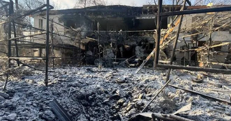 Россия атаковала птиц и львов