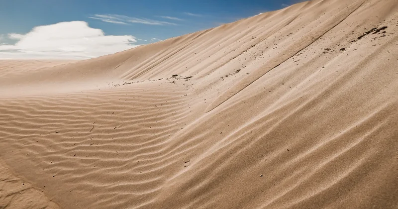 Səhralar yaşıllaşacaq: Çinli alimlərdən inqilabi metod