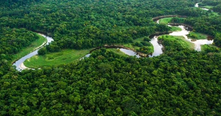Амазония может перейти в гипертропическое состояние из за климатического кризиса