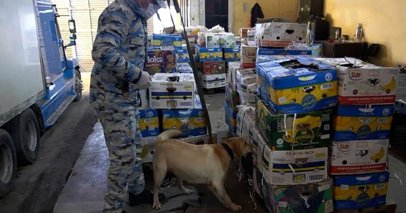 В арбузах из Ирана нашли крупную партию наркотиков Minval Politika