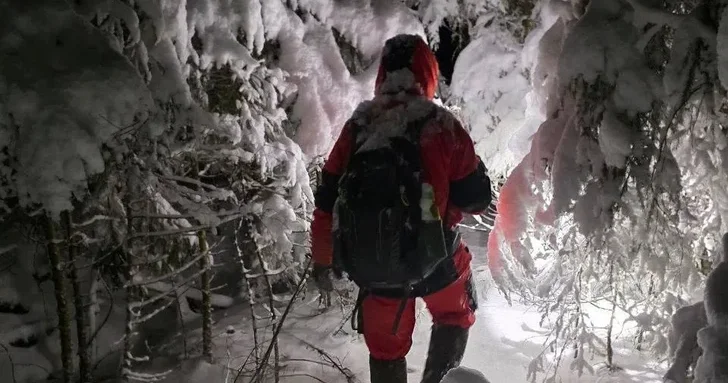 Тепло собачьей преданности: как питомцы спасли хозяев от замерзания в лесу в России