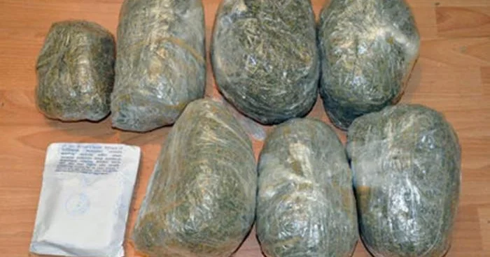 Bir gündə 30 kq a yaxın narkotik aşkarlanıb