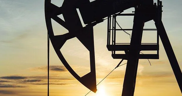 Поставки азербайджанской нефти в Австрию увеличились более чем вдвое