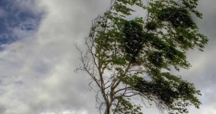Azərbaycanda faktiki hava açıqlanıb
