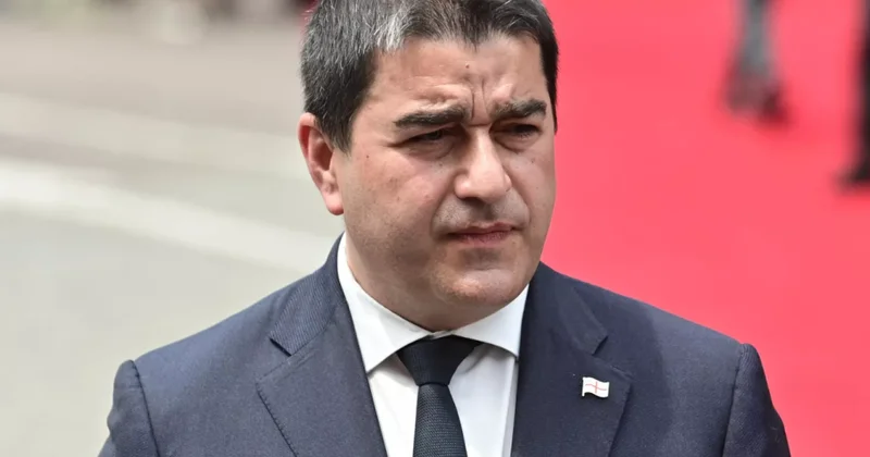 Gürcüstan parlamentinin sədri Avropa Parlamentinin deputatının üzr istəməsini tələb edir