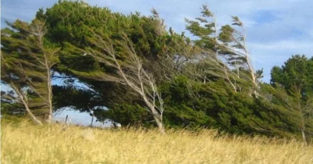Faktiki hava şəraiti açıqlandı