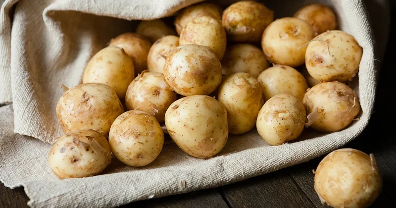 Картофельный потоп накрыл Берлин Minval Politika