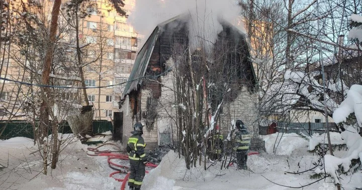 В Подмосковье кот спас многодетную семью во время пожара