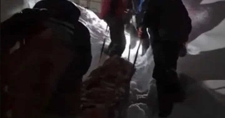 На Камчатке спасатели с помощью нарт эвакуировали больного из квартиры