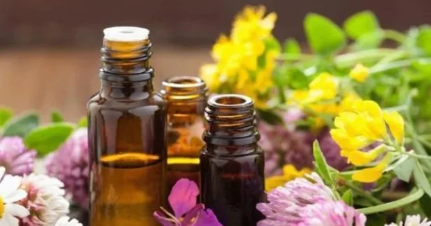 Efir yağları təhlükəli bakteriyaların məhv edir ARAŞDIRMA