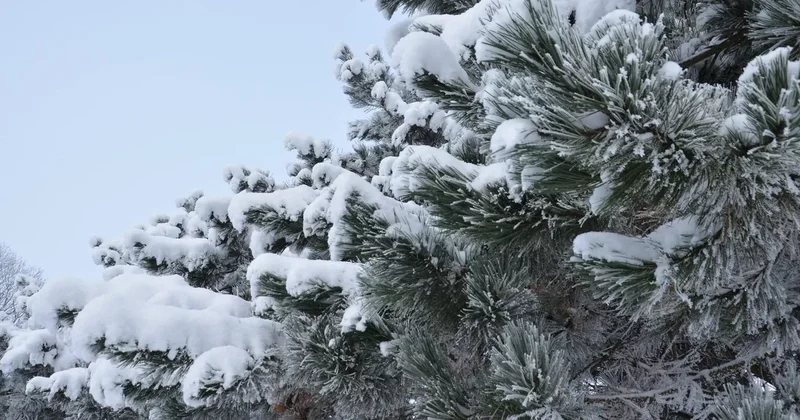 Litvada 2012 ci ildən bəri ən soyuq temperatur qeydə alındı