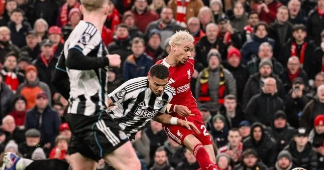 Liverpul Nyukasl matçında 5 qol Video