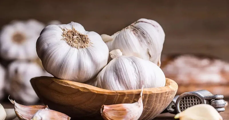 Viruslara qarşı qalxan: Gündə neçə diş sarımsaq yemək olar?