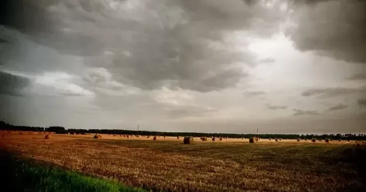 Dünyanın ən böyük sərvəti orada saxlanılır Bank deyil