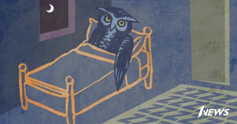 У сов увеличен риск сердечного приступа или инсульта ИССЛЕДОВАНИЕ