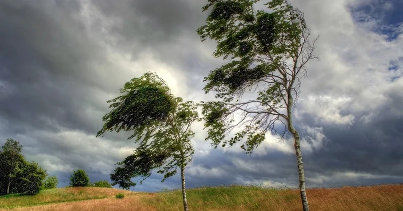 Завтра в Азербайджане усилится ветер, в ряде районов пойдет снег