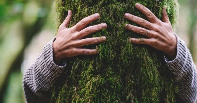 Sağlam insanların hər gün etdiyi vərdişlər