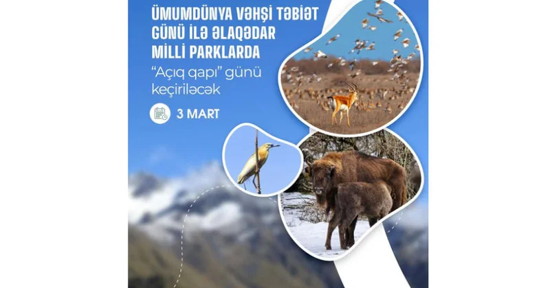 Ümumdünya Vəhşi Təbiət Günü ilə əlaqədar milli parklarda “Açıq qapı” günü keçiriləcək