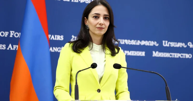 Урок истории для армянского МИДа