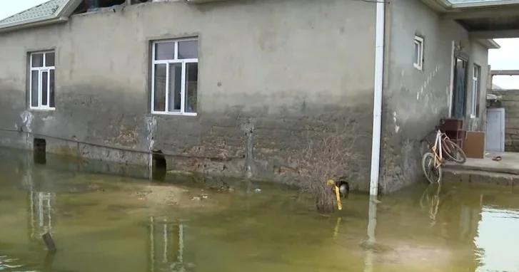 Дожди обрушили цены