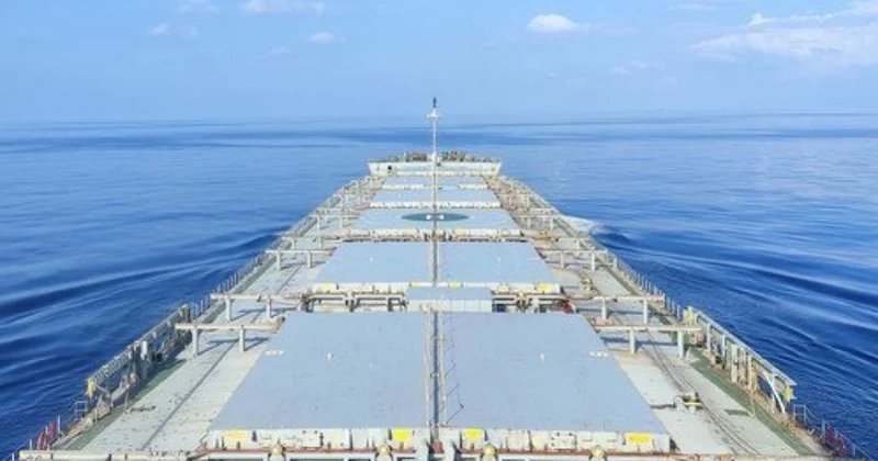 Qlobal ərzaq təchizatı təhlükə altındadır