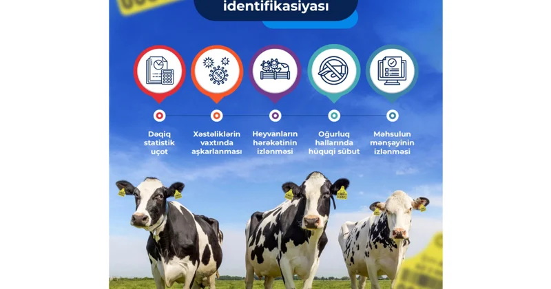 Как узнать, где и как производится продукция животного происхождения?