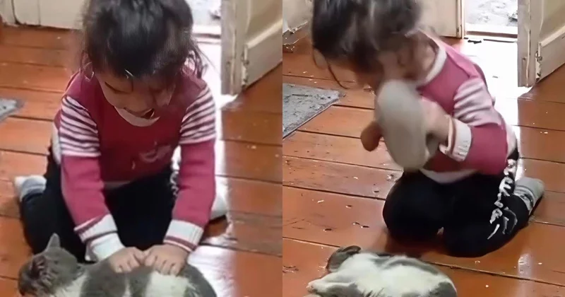 Heyvana işgəncə edən azyaşlı… Valideynlər harada səhv edir? VİDEO