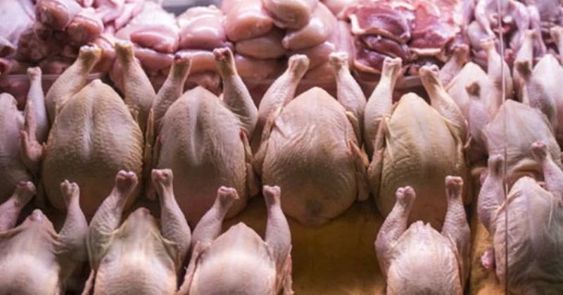 Bəzi ölkələrdən quş və quşçuluq məhsullarının idxalına məhdudiyyət qoyuldu