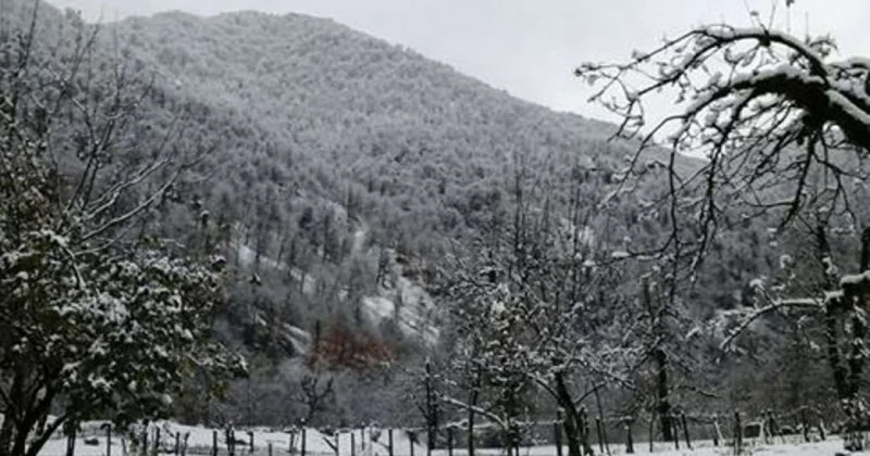 Bəzi rayonlara qar yağdı