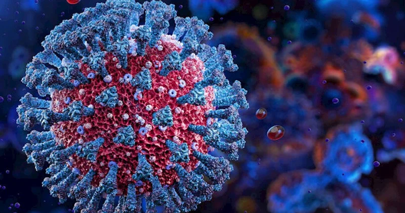 İDDİA: Koronavirus Çində yox, ABŞ də meydana çıxıb