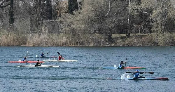 Avarçəkənlərimiz daha 5 medal qazandı