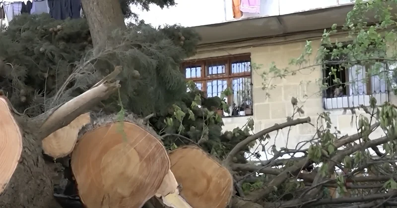 Bakıda güclü küləyin fəsadları hələ də sakinləri narahat edir