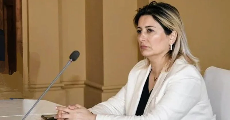 Güvən Körpüləri: Prezident İlham Əliyevin bəyanatında regional sülhə və əməkdaşlığa çağırış ŞƏRH