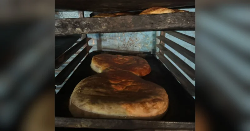 Cəlilabadda çörək istehsalı müəssisəsinin qanunsuz fəaliyyət göstərdiyi müəyyən olunub