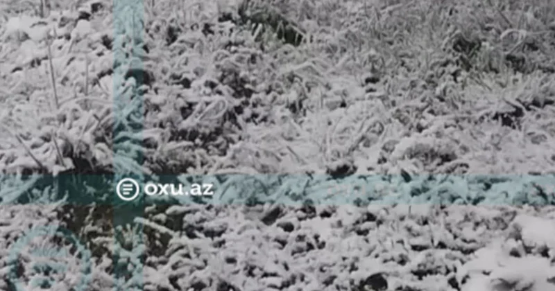 Mayın ilk günü Lerikə qar YAĞDI
