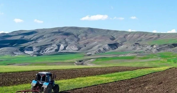 В Азербайджане усилят контроль за субсидиями и льготами в аграрном секторе