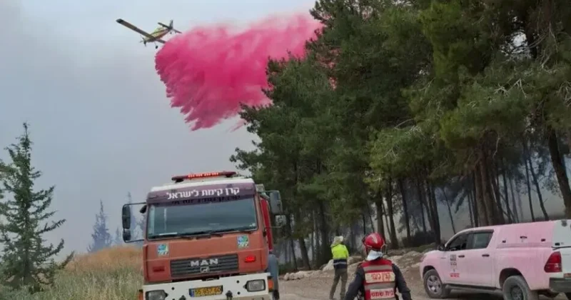 Ynet: Лесные пожары в Израиле пока не взяты под контроль