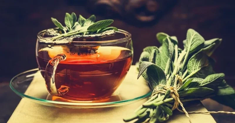 Adaçayının faydaları nələrdir? Kimlərə OLMAZ