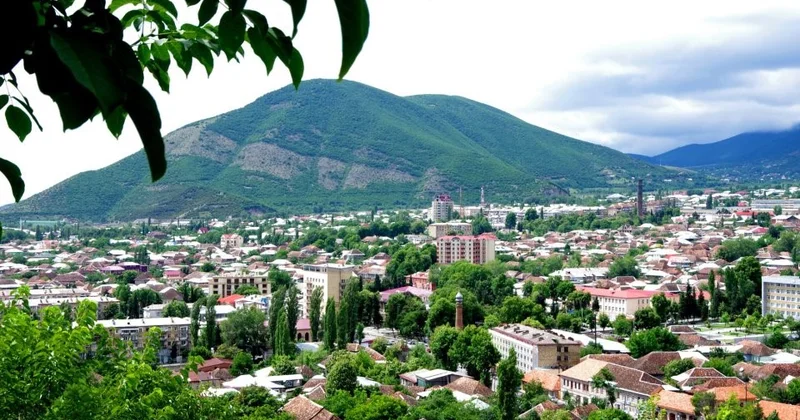 İcarə götürdükləri maşınla 30 minlik heyvan oğurladılar Foto