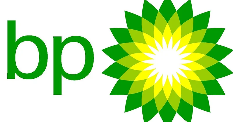 bp Qarabağ layihəsi çərçivəsində boru dəstlərinin istehsalı obyektinin tikintisinə aid tədqiqat proqramına dair məlumat yaydı