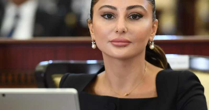 Avropa Parlamenti yanaşmasında daha həssas, inklüziv və obyektiv olmalıdır